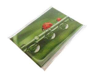 Flächenmagnet-Button 44x68mm in Poly-Beutel